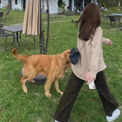上班一条虫